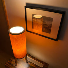 Charger l'image dans la galerie, Luz Exotica de frêne