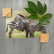 Charger l'image dans la galerie, Aimants Soliflore (P)